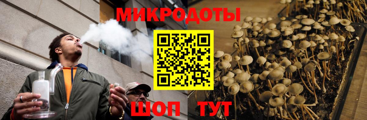 Псилоцибиновые грибы Psilocybe Белая Калитва
